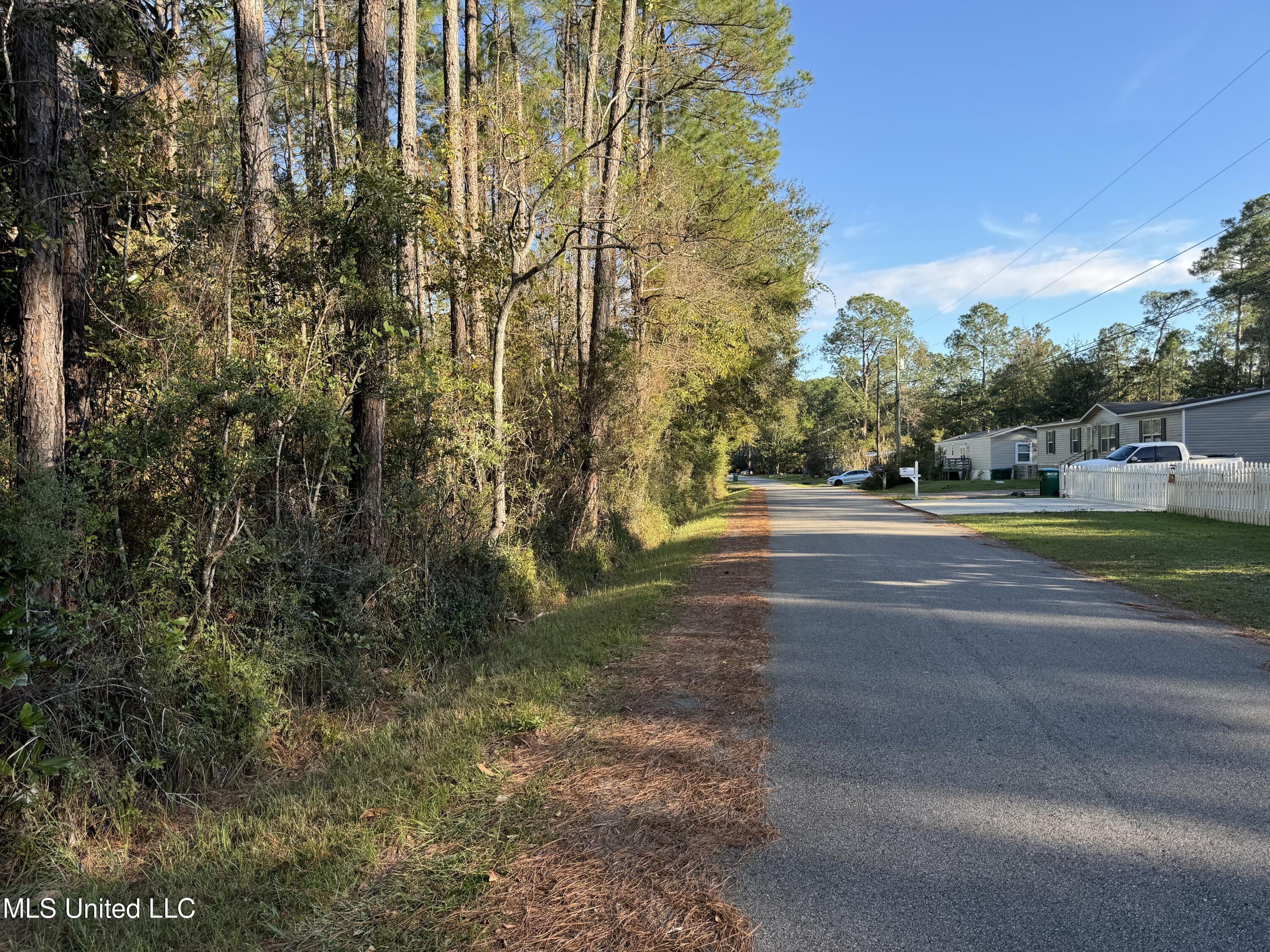 Petunia Road, Gautier, Mississippi image 12