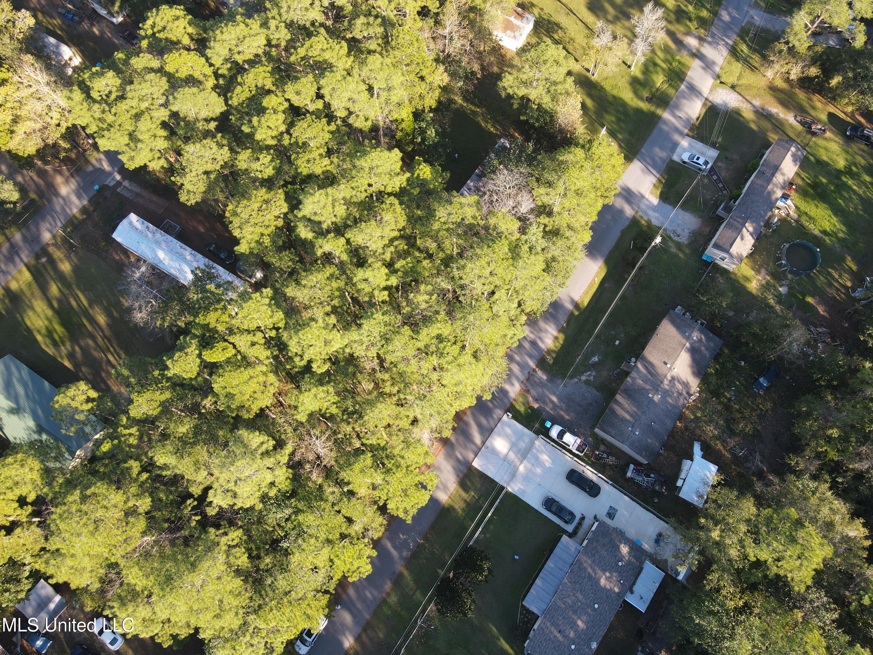 Petunia Road, Gautier, Mississippi image 9