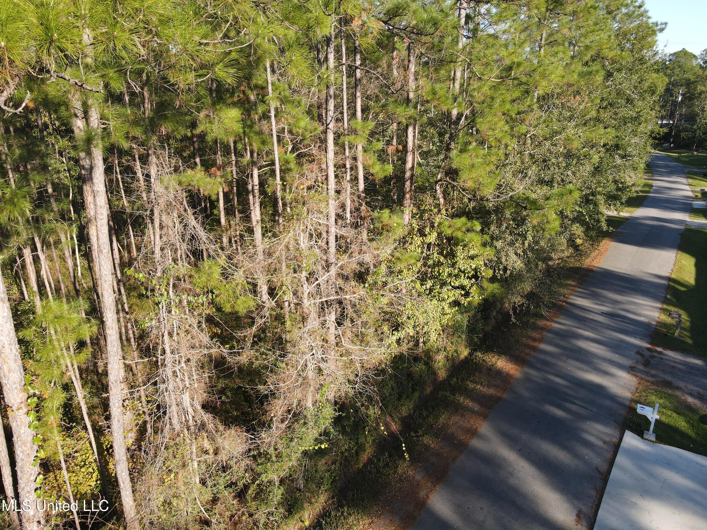 Petunia Road, Gautier, Mississippi image 7