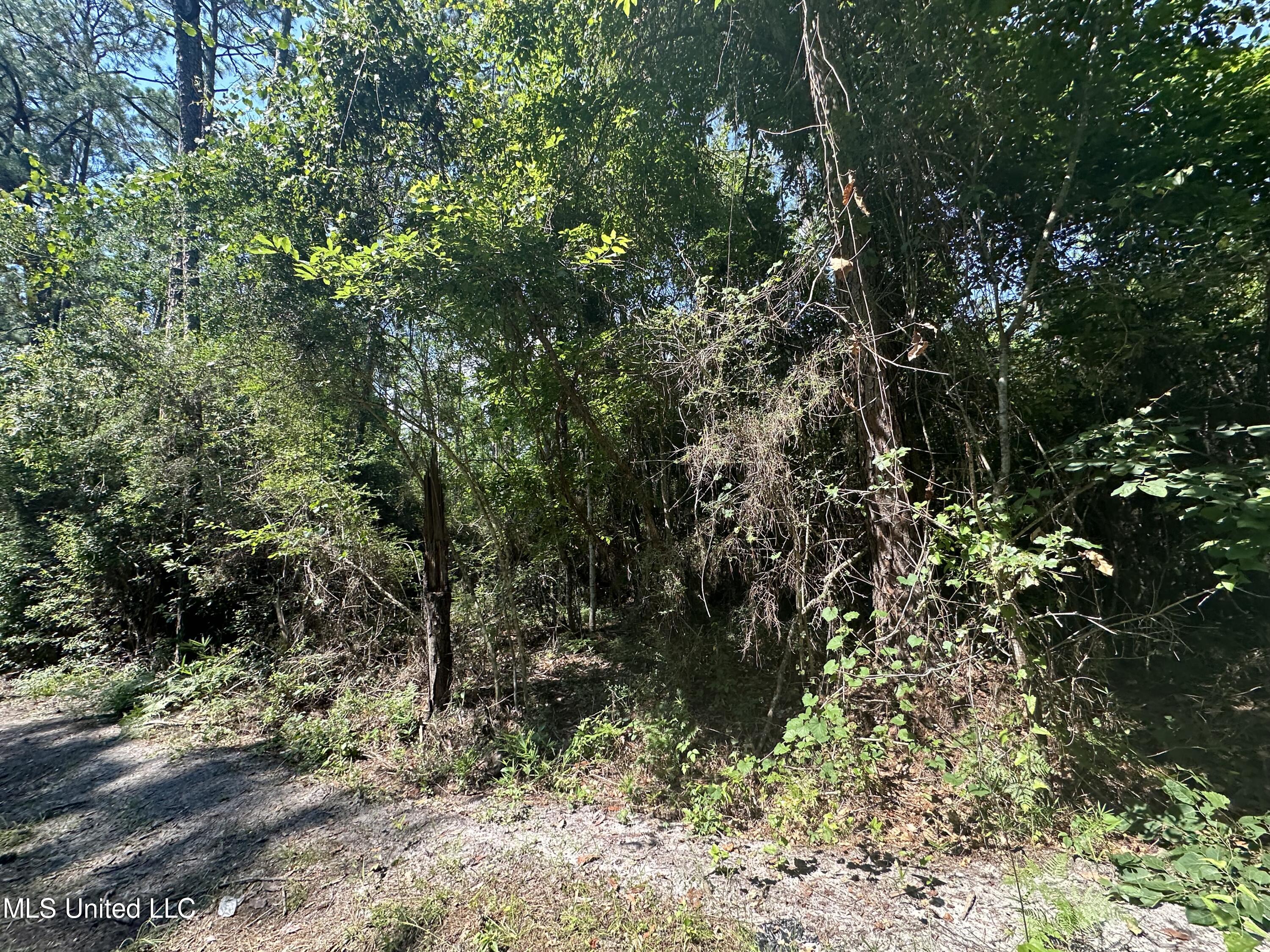 Lot 2634 Sycamore Street, Ocean Springs, Mississippi image 1