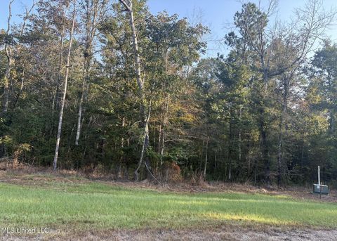 Vacant Land For Sale - 00 Friendship Circle<br/> Forest, MS 39074