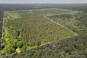 128 Ac Armstrong Road, Brooklyn, Mississippi image 1
