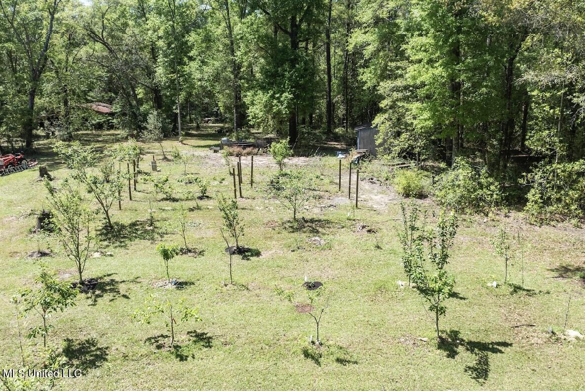 13217 Ware Lake Road, Vancleave, Mississippi image 7