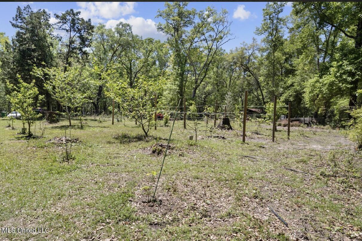 13217 Ware Lake Road, Vancleave, Mississippi image 14
