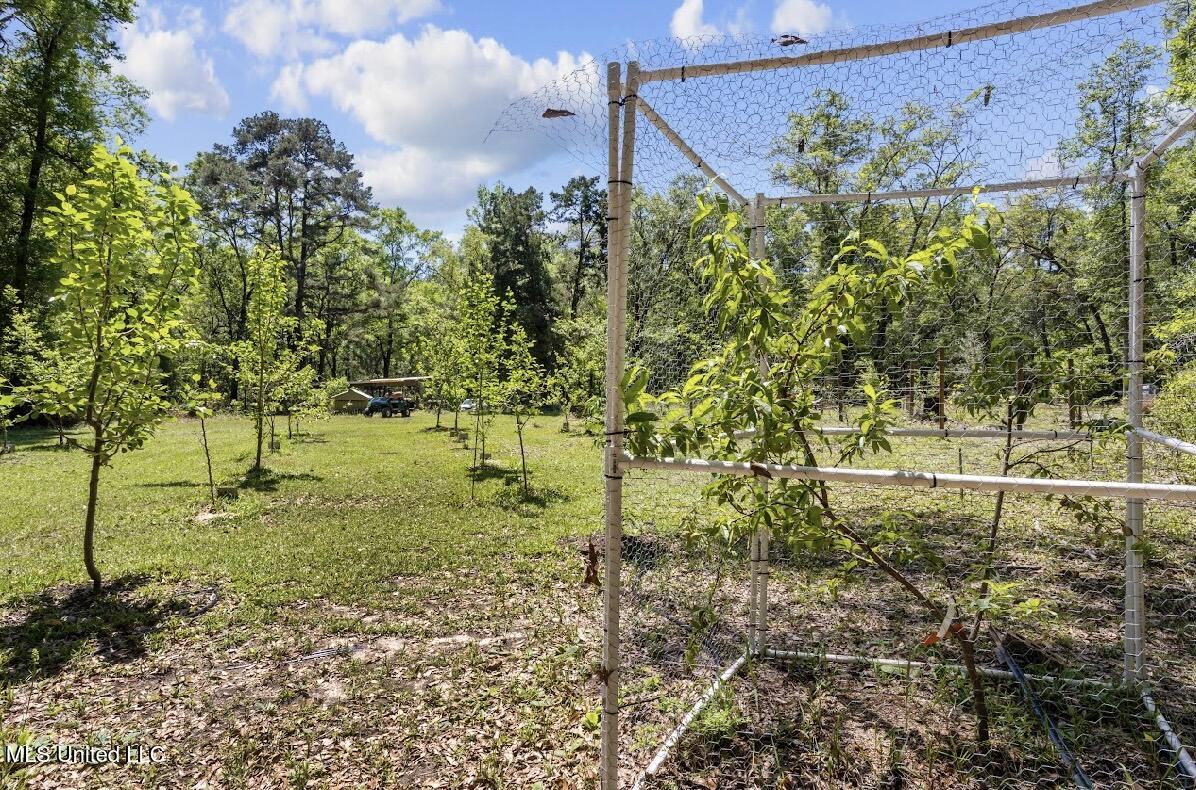 13217 Ware Lake Road, Vancleave, Mississippi image 12