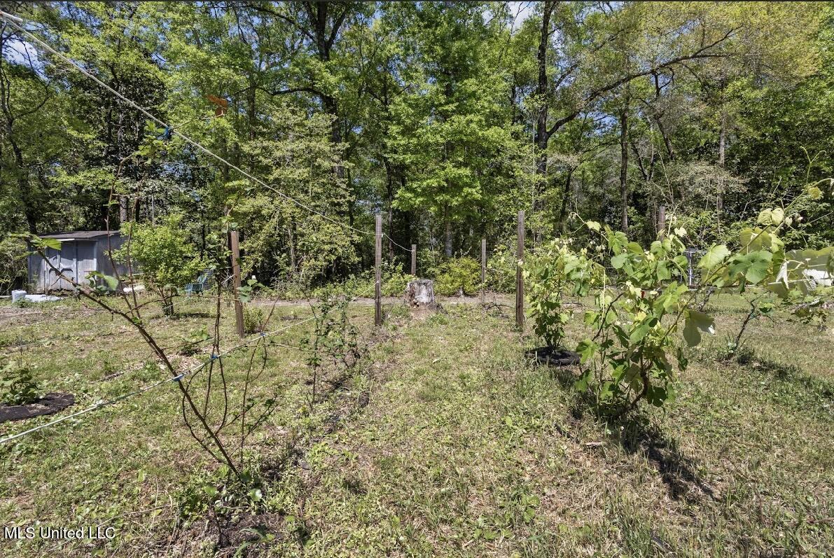 13217 Ware Lake Road, Vancleave, Mississippi image 18