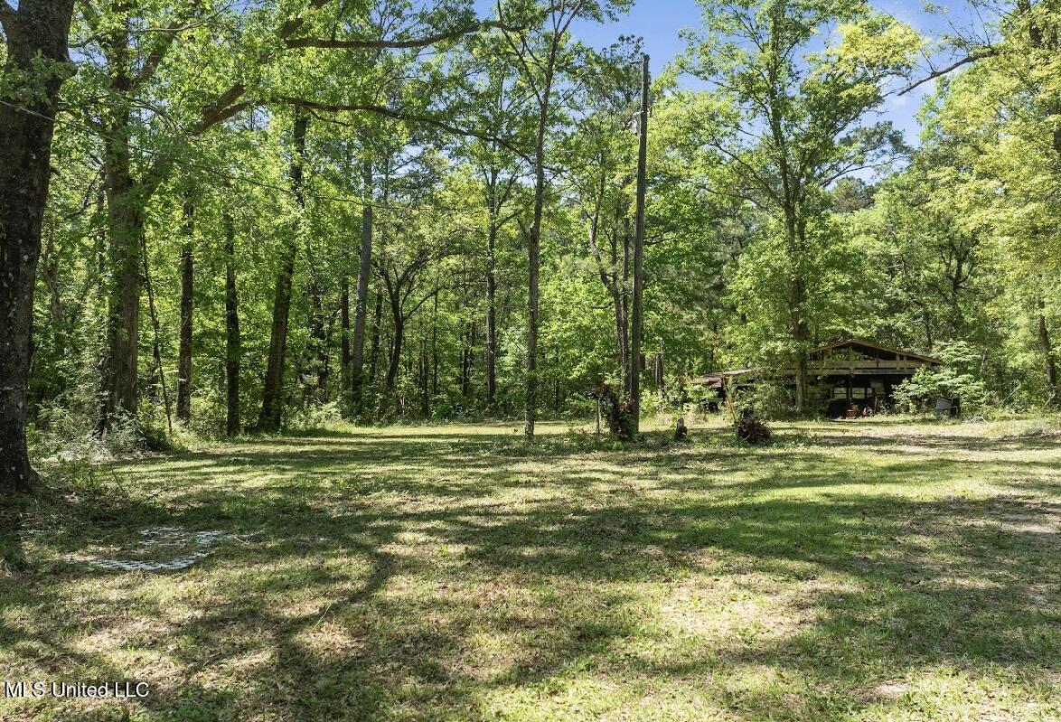 13217 Ware Lake Road, Vancleave, Mississippi image 41