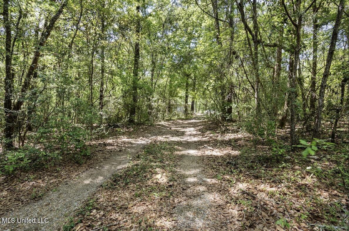 13217 Ware Lake Road, Vancleave, Mississippi image 34
