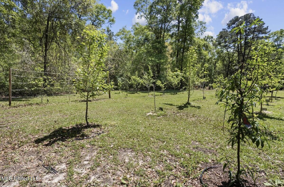 13217 Ware Lake Road, Vancleave, Mississippi image 13
