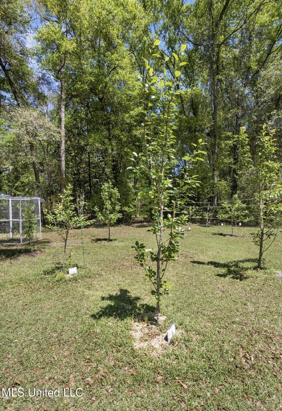 13217 Ware Lake Road, Vancleave, Mississippi image 27
