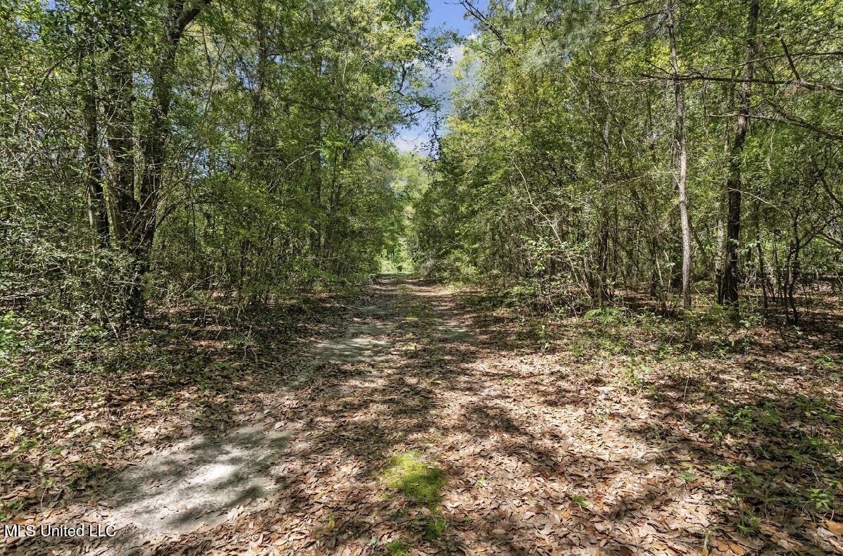 13217 Ware Lake Road, Vancleave, Mississippi image 39