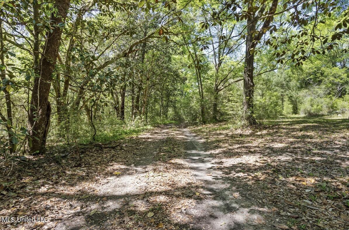 13217 Ware Lake Road, Vancleave, Mississippi image 33