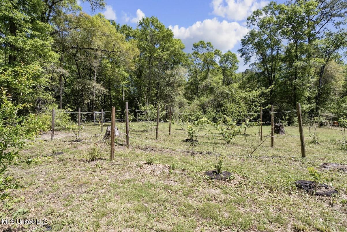 13217 Ware Lake Road, Vancleave, Mississippi image 28