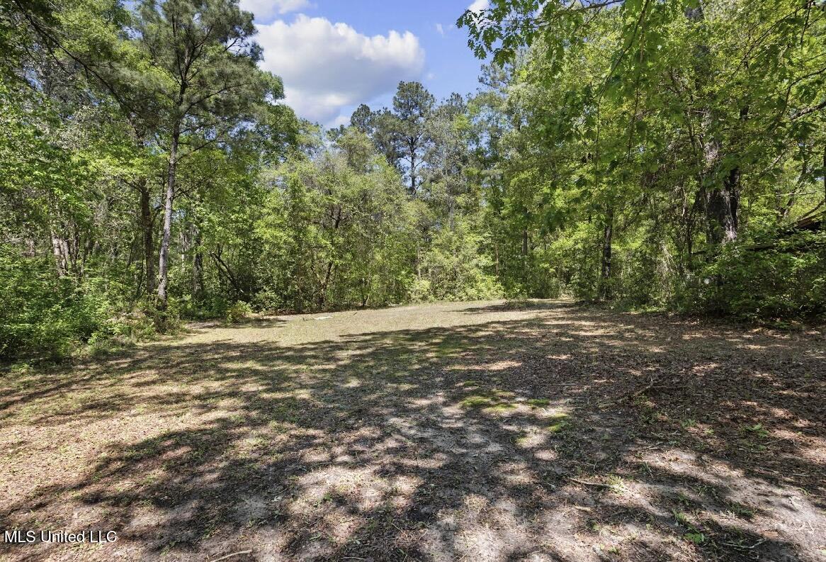 13217 Ware Lake Road, Vancleave, Mississippi image 32