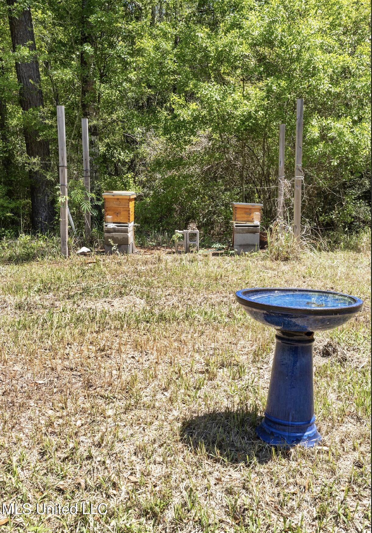 13217 Ware Lake Road, Vancleave, Mississippi image 21