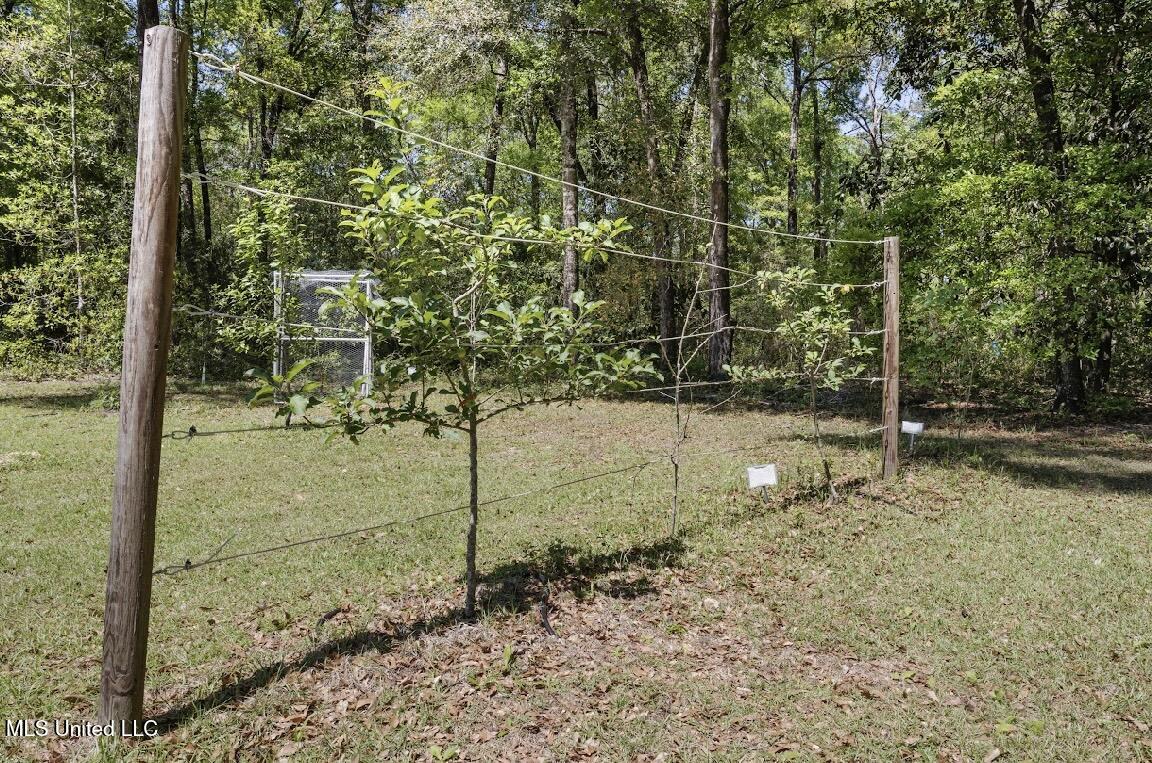 13217 Ware Lake Road, Vancleave, Mississippi image 10