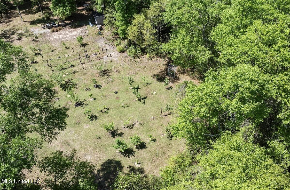 13217 Ware Lake Road, Vancleave, Mississippi image 1