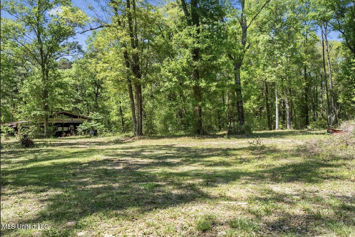 13217 Ware Lake Road, Vancleave, Mississippi image 42