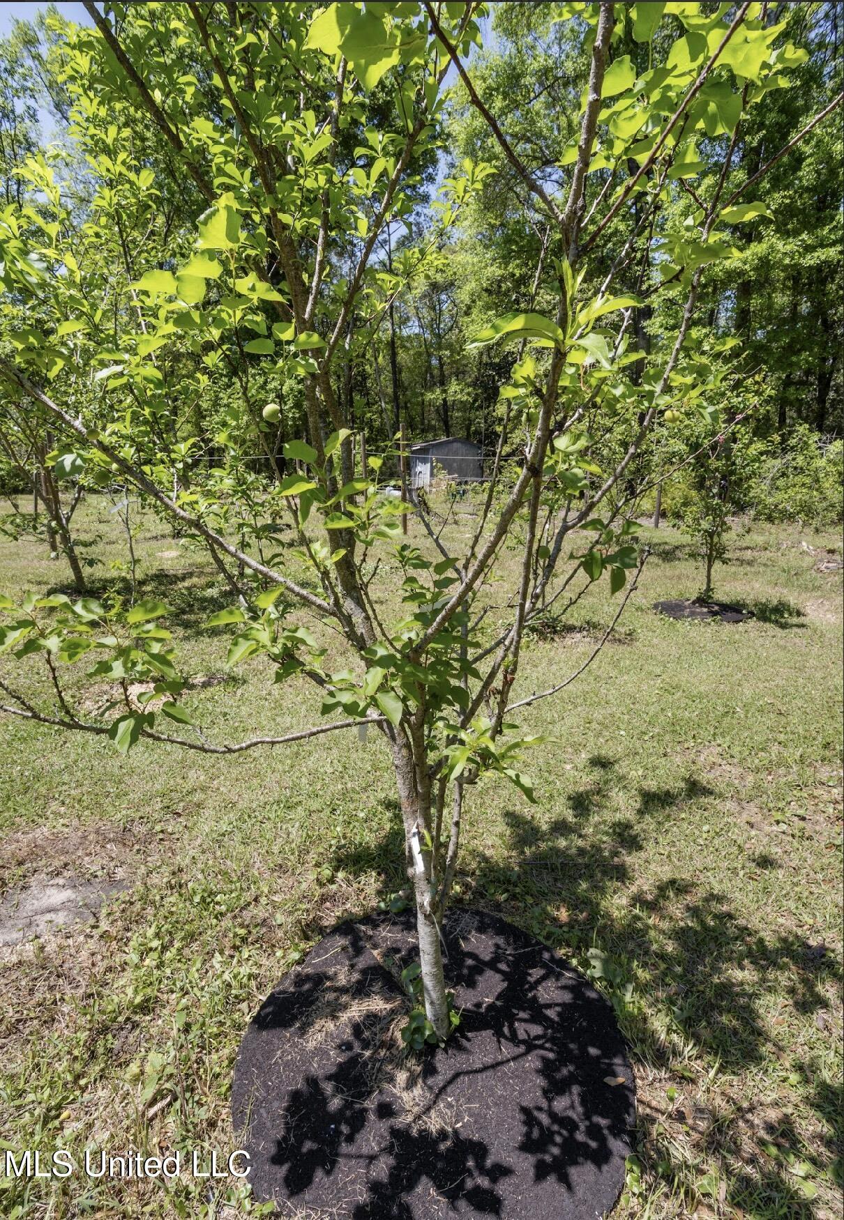 13217 Ware Lake Road, Vancleave, Mississippi image 25