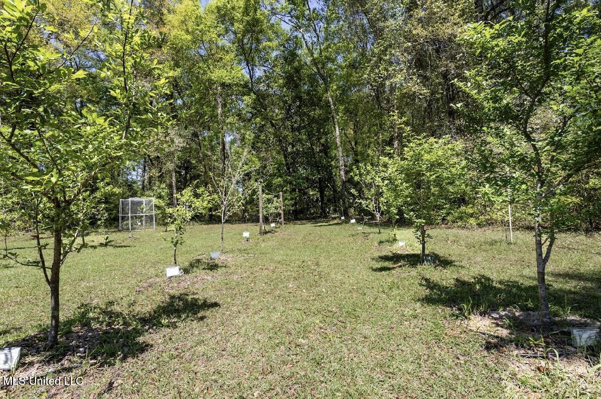 13217 Ware Lake Road, Vancleave, Mississippi image 9