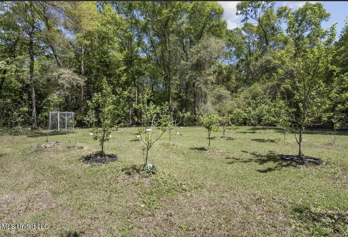 13217 Ware Lake Road, Vancleave, Mississippi image 20