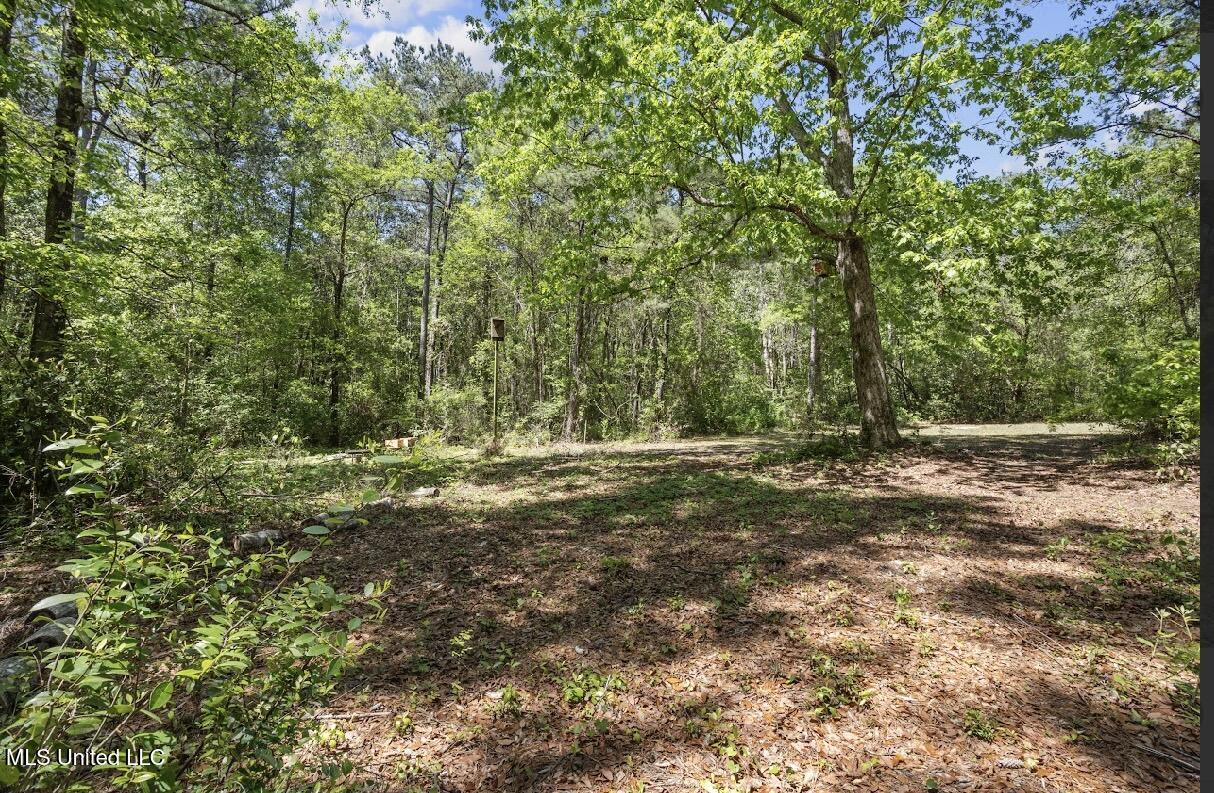 13217 Ware Lake Road, Vancleave, Mississippi image 31
