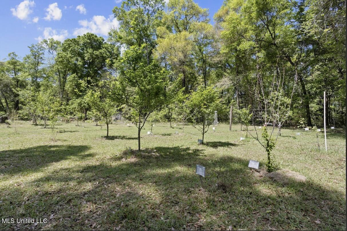 13217 Ware Lake Road, Vancleave, Mississippi image 8