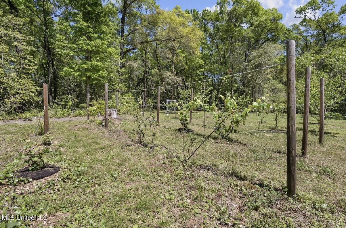13217 Ware Lake Road, Vancleave, Mississippi image 17