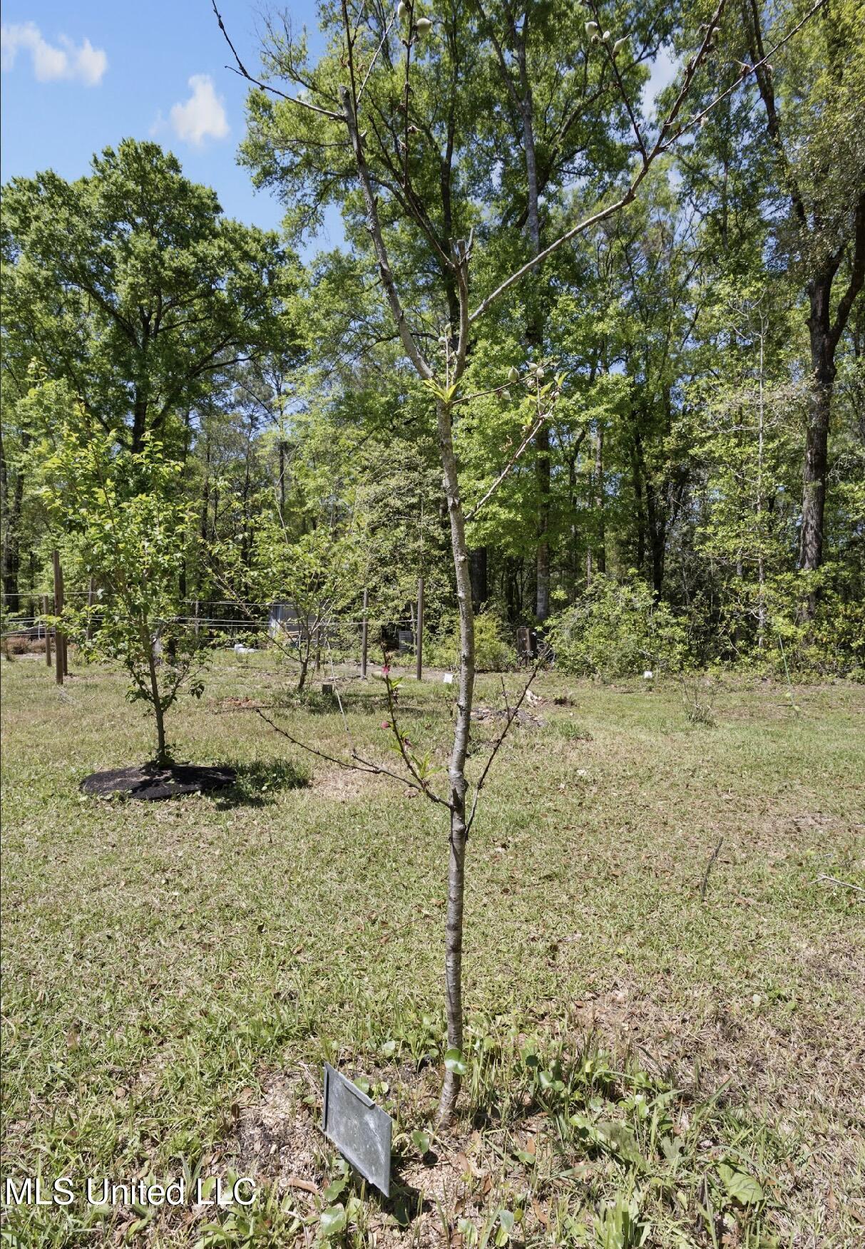 13217 Ware Lake Road, Vancleave, Mississippi image 23