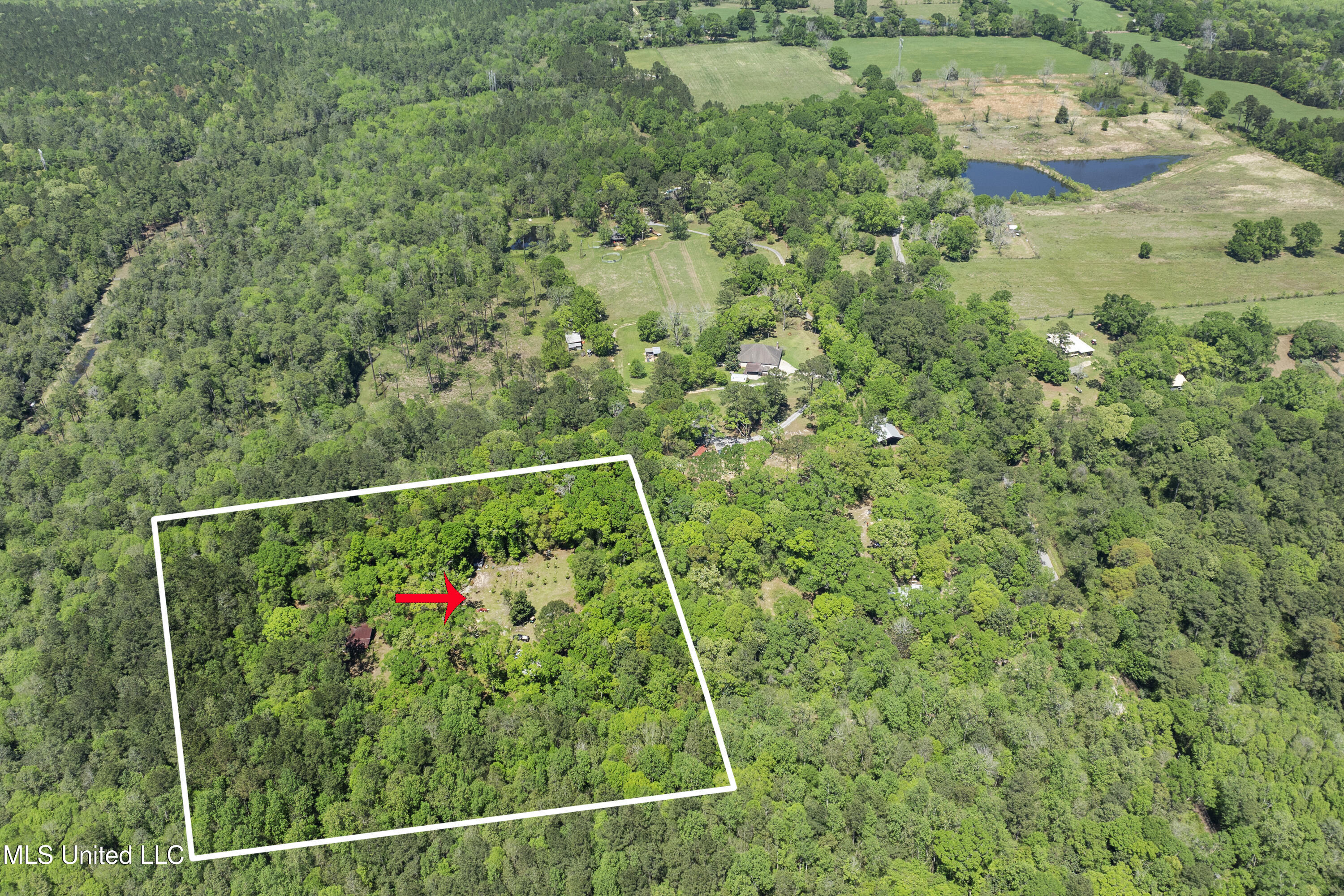 13217 Ware Lake Road, Vancleave, Mississippi image 2