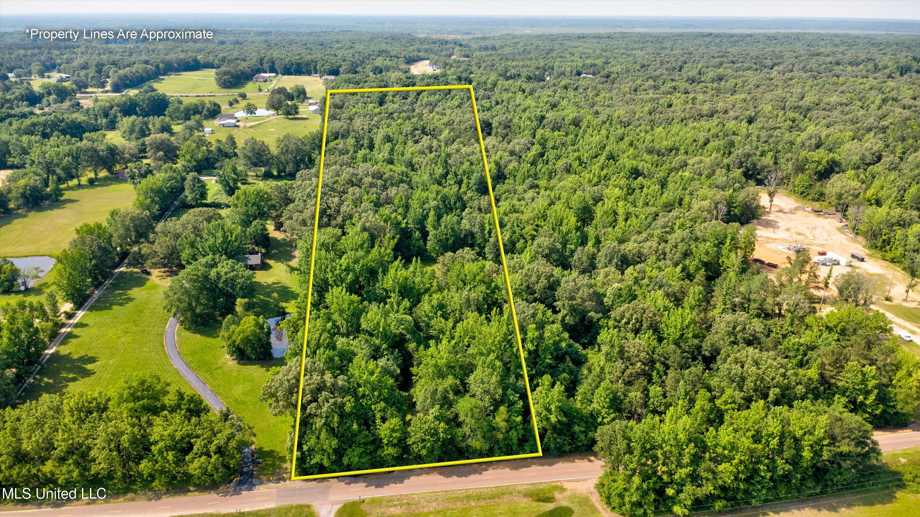 Gaines Road, Hernando, Mississippi image 5