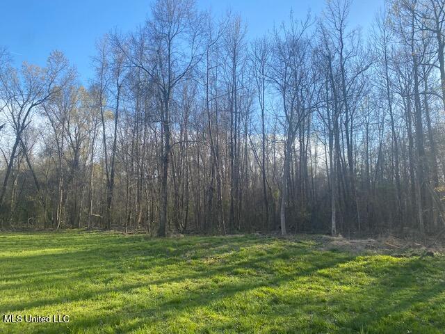 Gaines Road, Hernando, Mississippi image 2