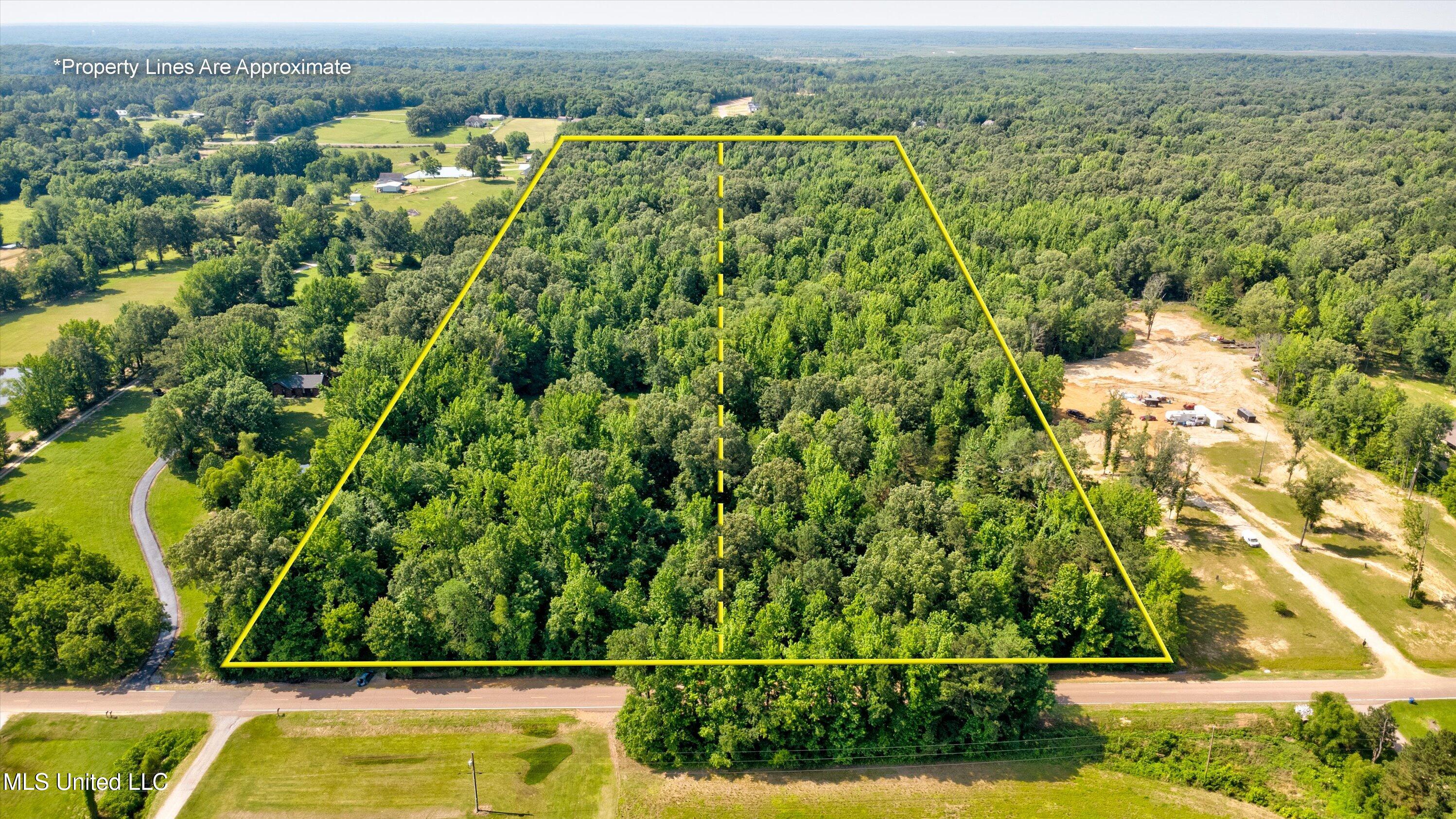 Gaines Road, Hernando, Mississippi image 6