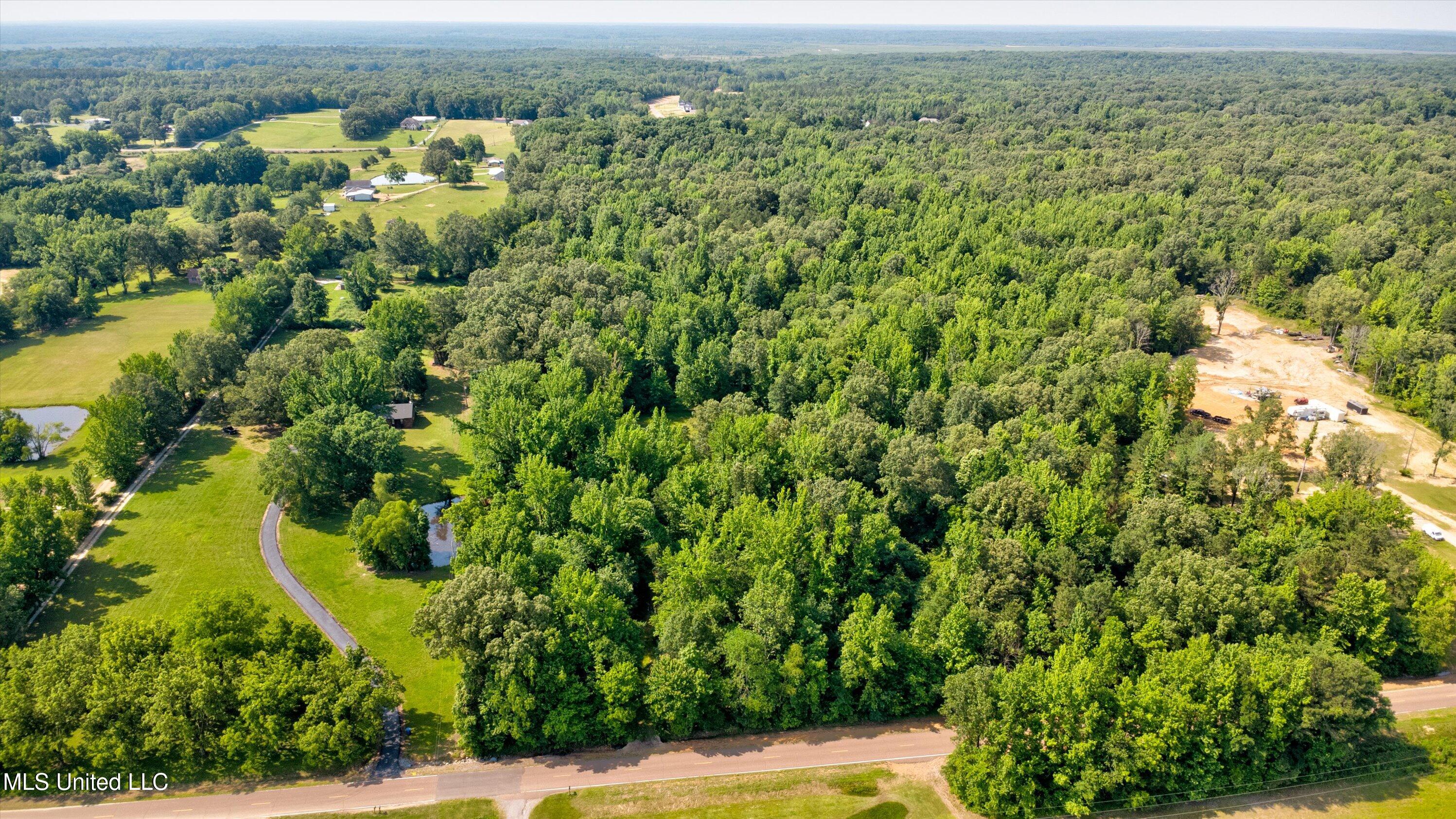 Gaines Road, Hernando, Mississippi image 4