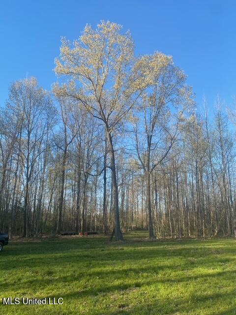 Gaines Road, Hernando, Mississippi image 3
