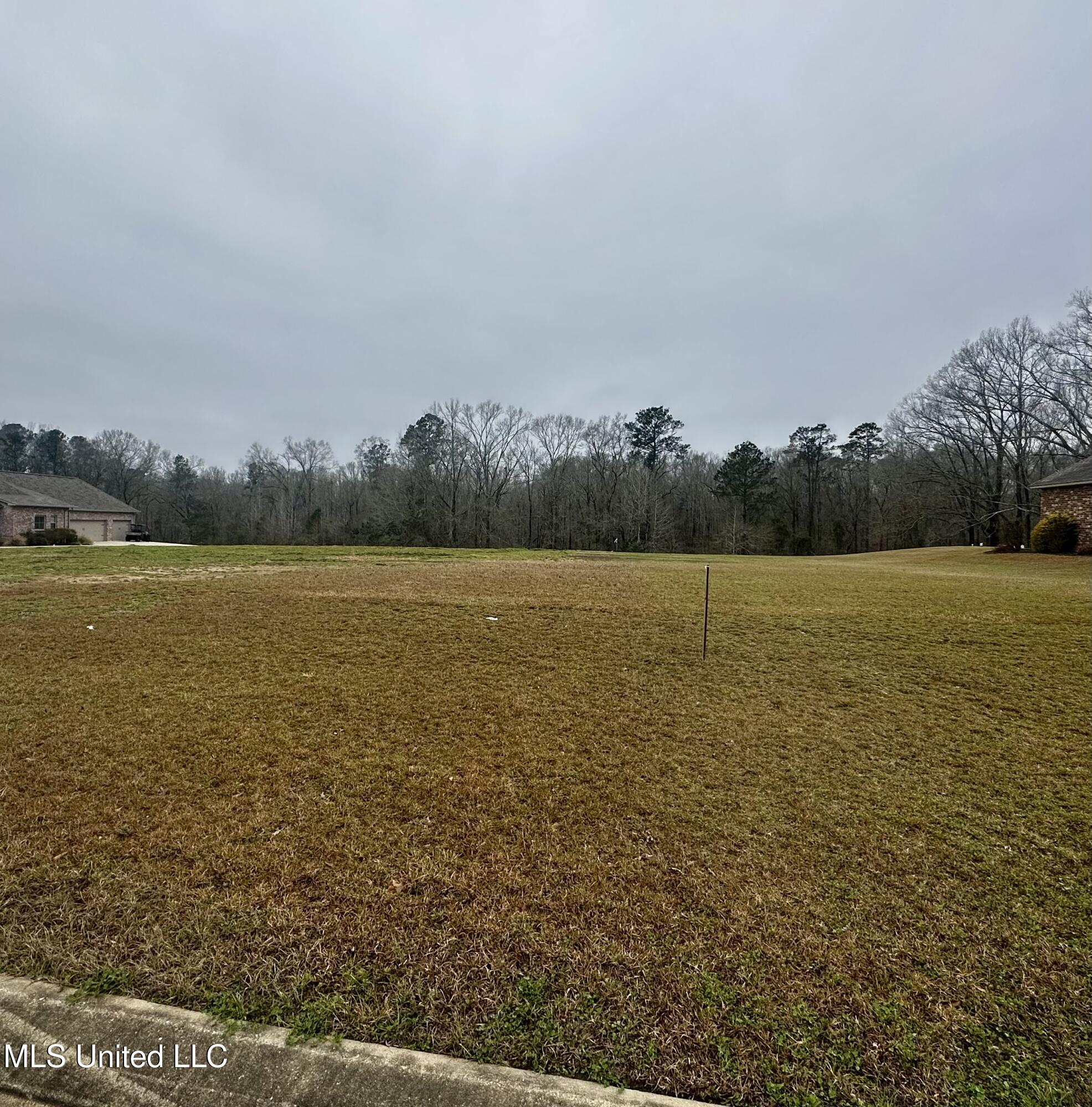 42 Tara Drive, Natchez, Mississippi image 1
