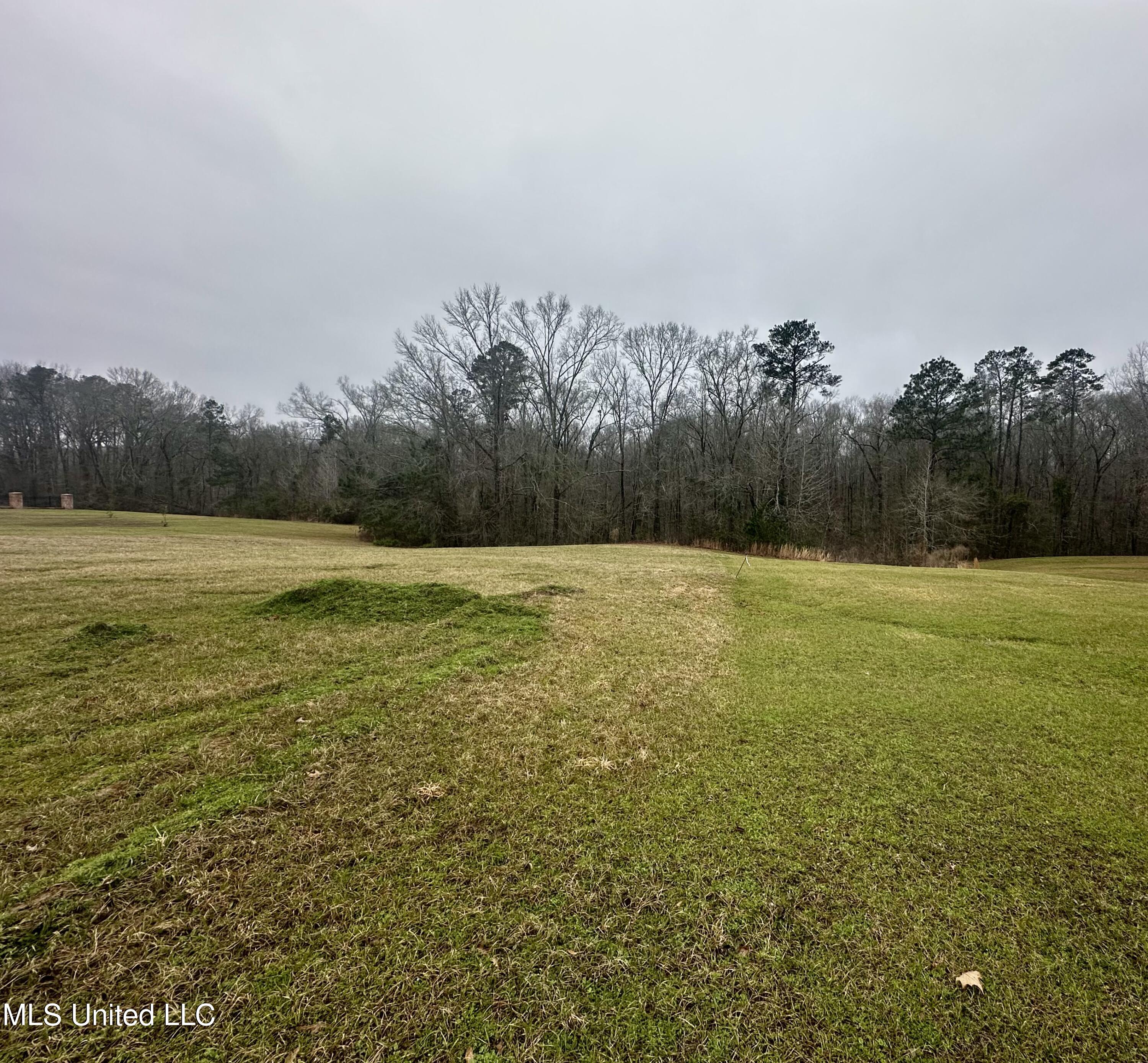42 Tara Drive, Natchez, Mississippi image 8