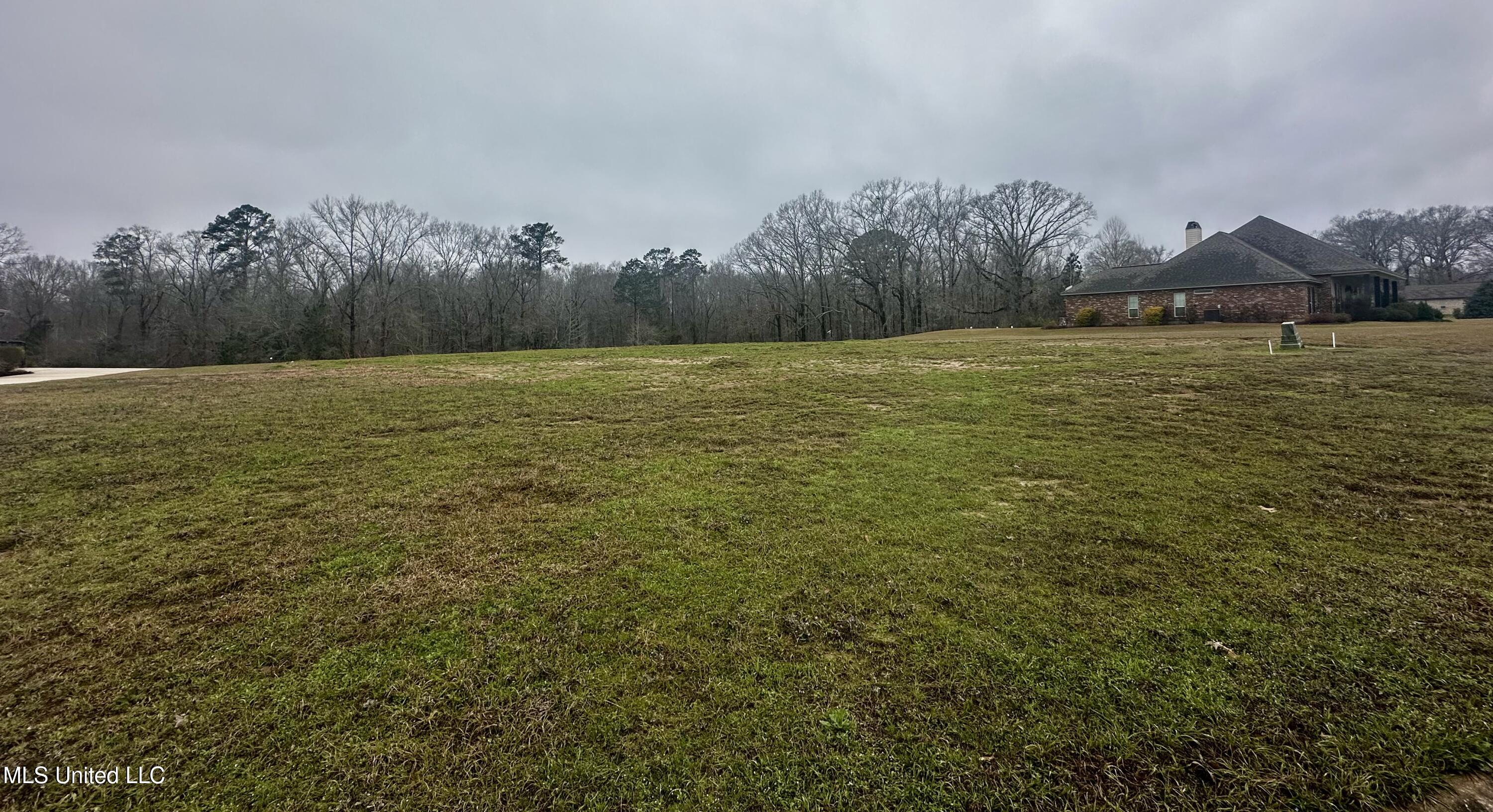 42 Tara Drive, Natchez, Mississippi image 3