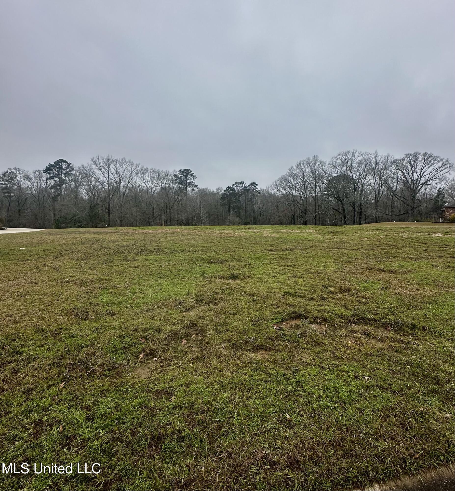 42 Tara Drive, Natchez, Mississippi image 12