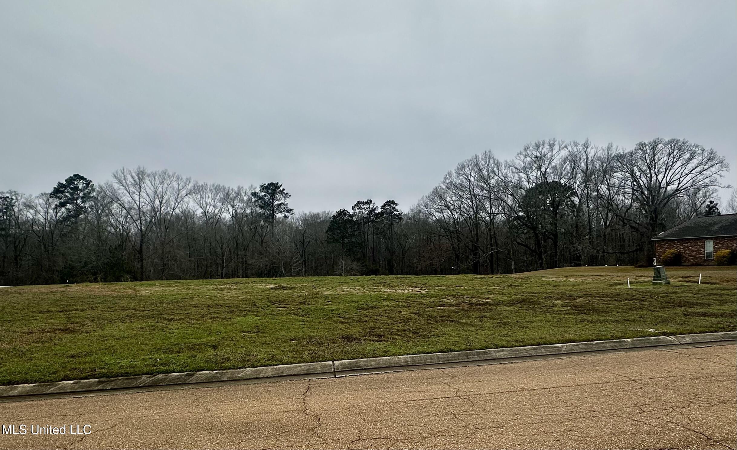 42 Tara Drive, Natchez, Mississippi image 11