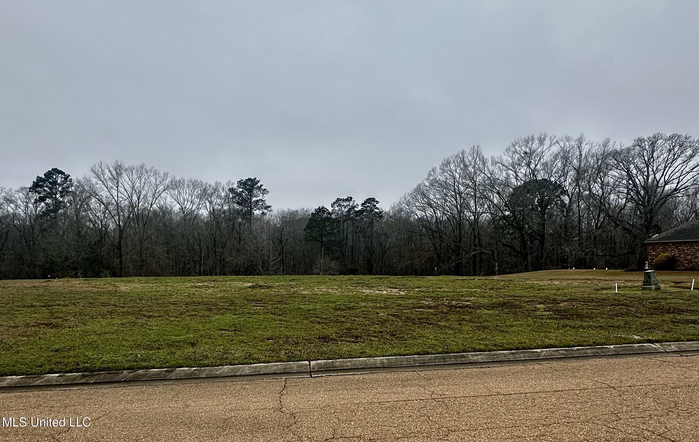 42 Tara Drive, Natchez, Mississippi image 10