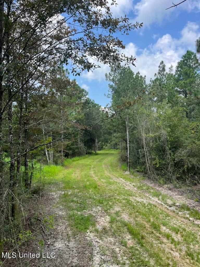 Tanner Williams Rd -parcel 2, Lucedale, Mississippi image 8