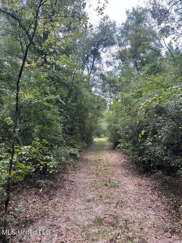 Tanner Williams Rd -parcel 2, Lucedale, Mississippi image 6