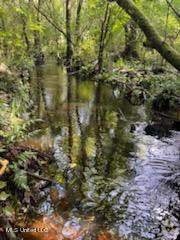 Tanner Williams Rd -parcel 2, Lucedale, Mississippi image 3