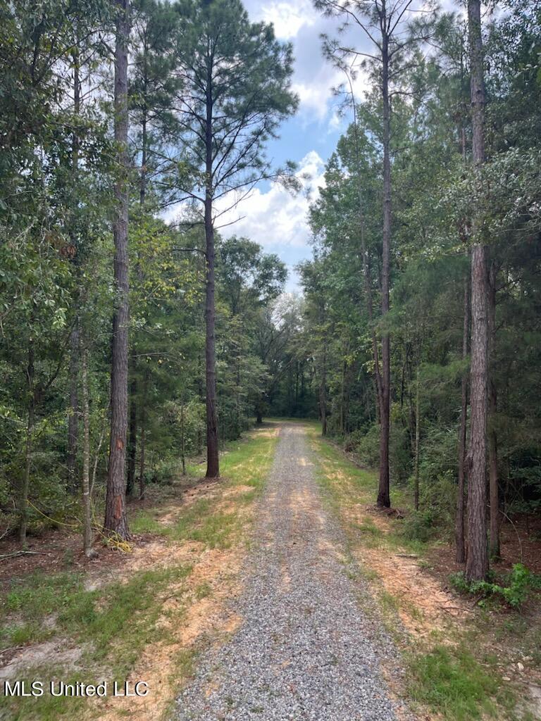 Tanner Williams Rd -parcel 2, Lucedale, Mississippi image 5