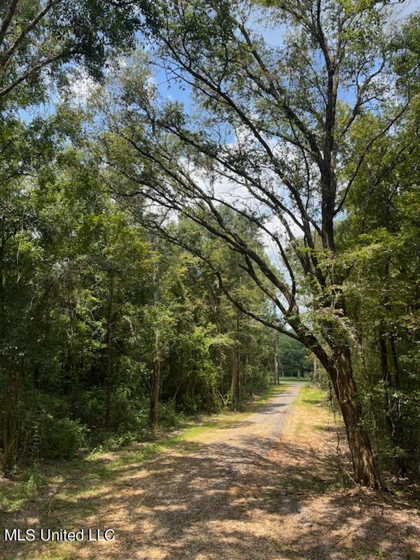 Tanner Williams Rd -parcel 2, Lucedale, Mississippi image 7