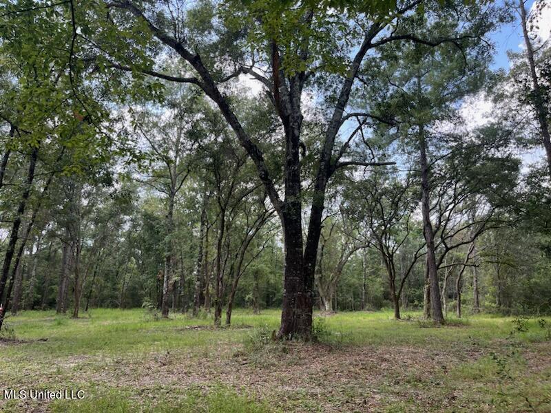 Tanner Williams Rd -parcel 2, Lucedale, Mississippi image 4