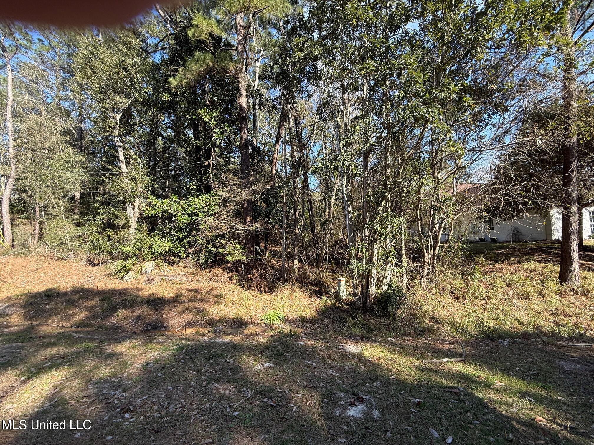 94176 Bayou Drive, Diamondhead, Mississippi image 2