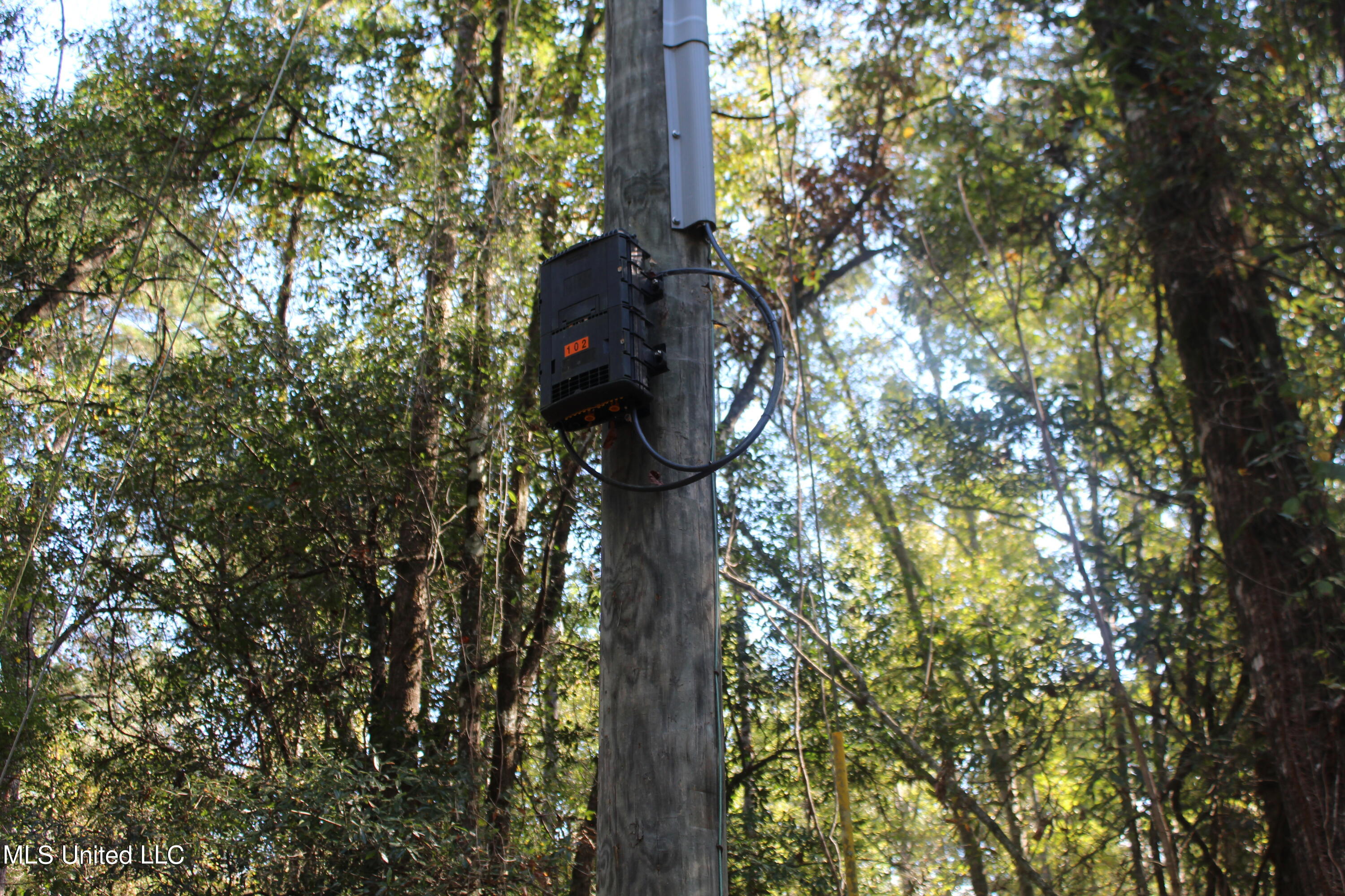 Byrd Road, Leakesville, Mississippi image 10