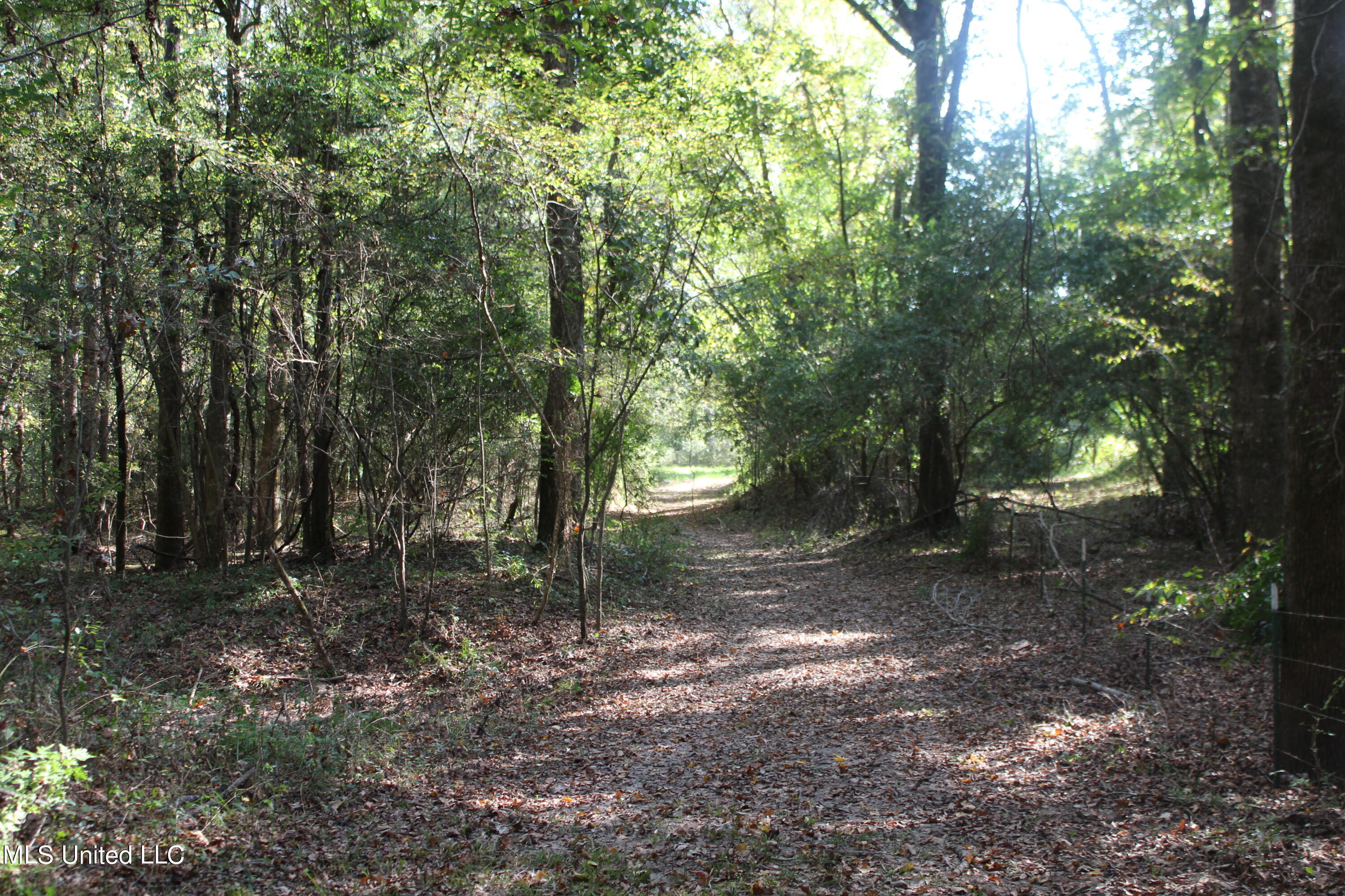 Byrd Road, Leakesville, Mississippi image 12